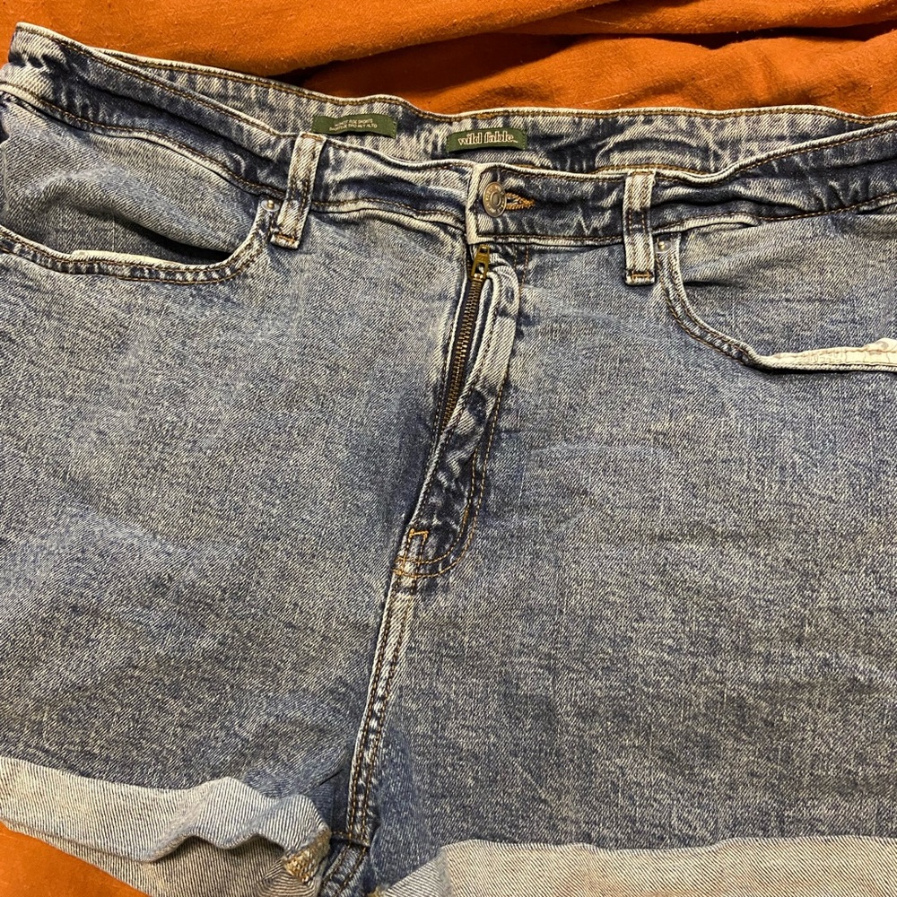 Wild Fable High-Rise Jean shorts (size 18)